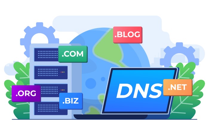 DNS settings
