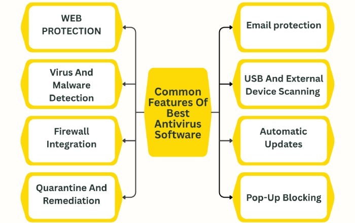 antivirus software
