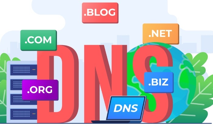 dns