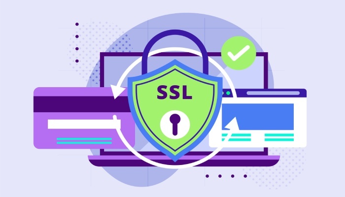  SSL certificate 
