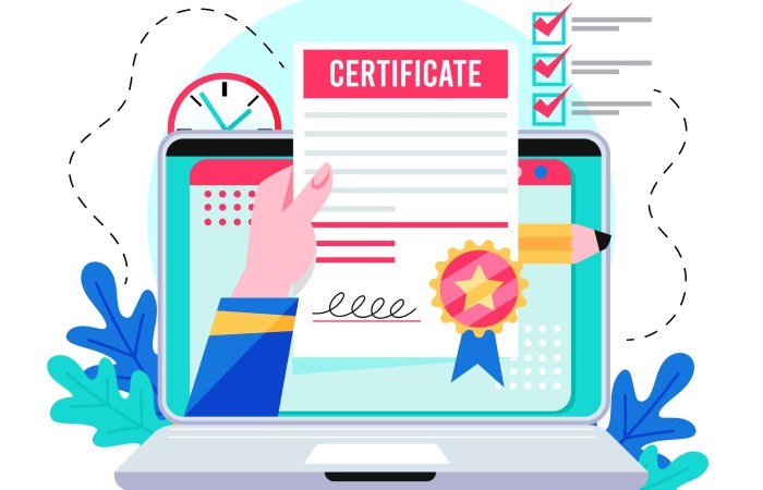   Verified Mark Certificate (VMC) 