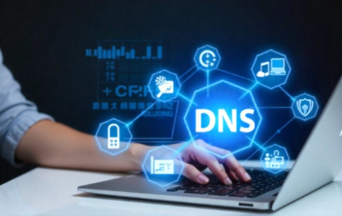 you can paste into DNS.