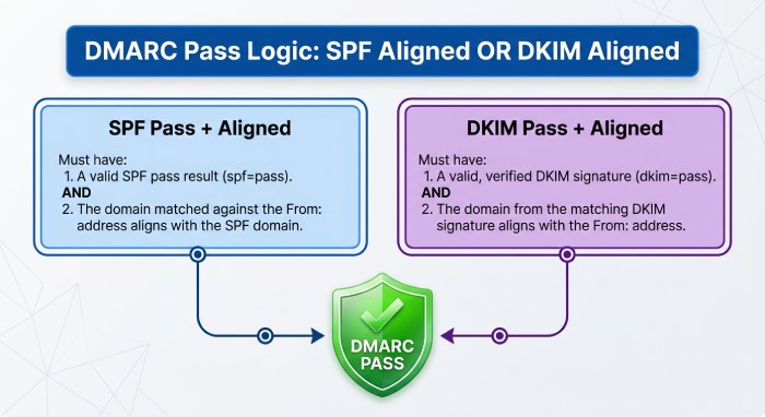 The Key Fields and Metrics to Interpret